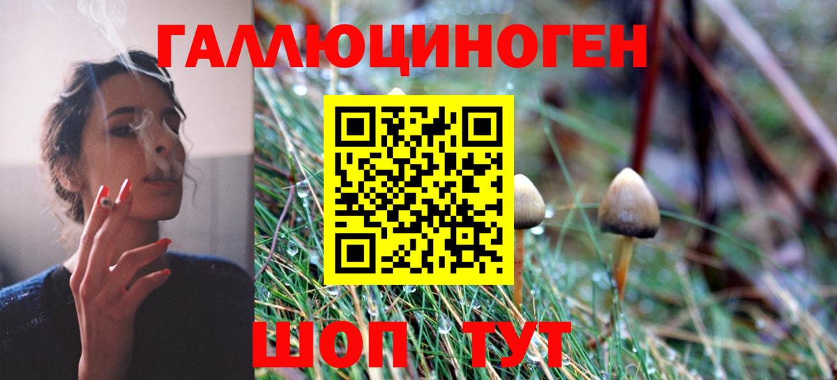 Псилоцибиновые грибы Magic Shrooms  Галлюциногенные грибы мицелий  купить  цена  Вход с VPN  Кудрово 